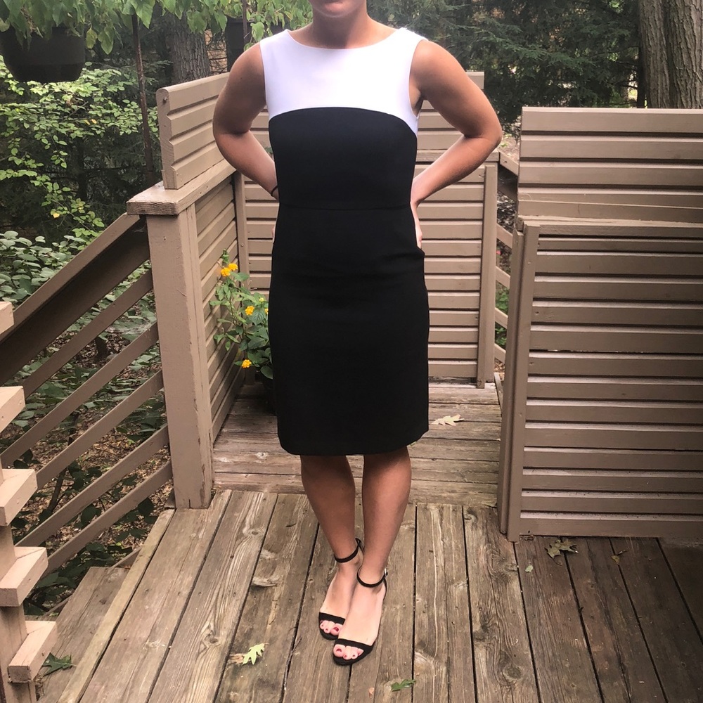 Zara Dress